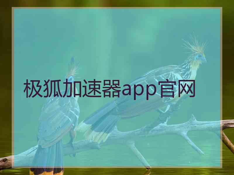 极狐加速器app官网