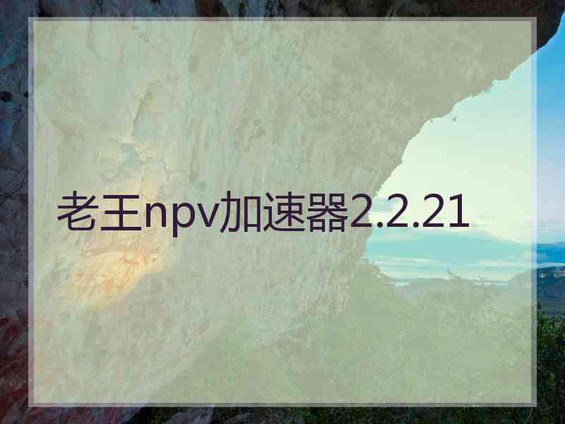 老王npv加速器2.2.21