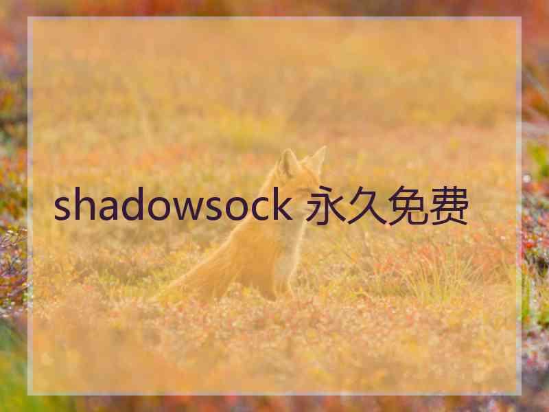shadowsock 永久免费