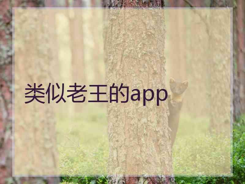 类似老王的app