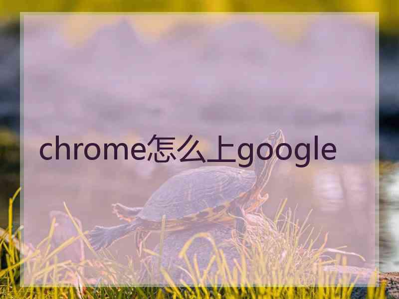 chrome怎么上google