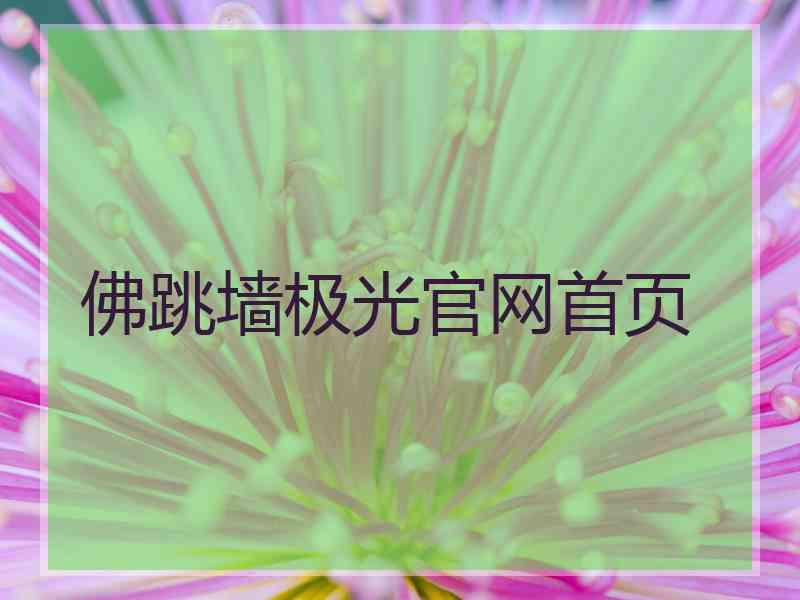 佛跳墙极光官网首页
