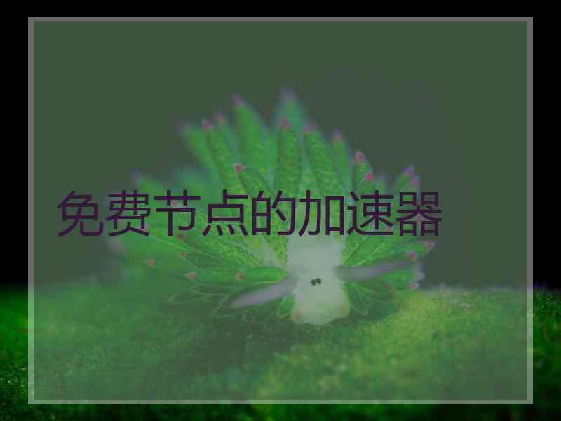 免费节点的加速器