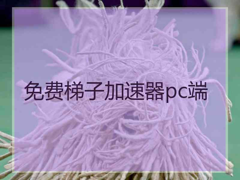 免费梯子加速器pc端