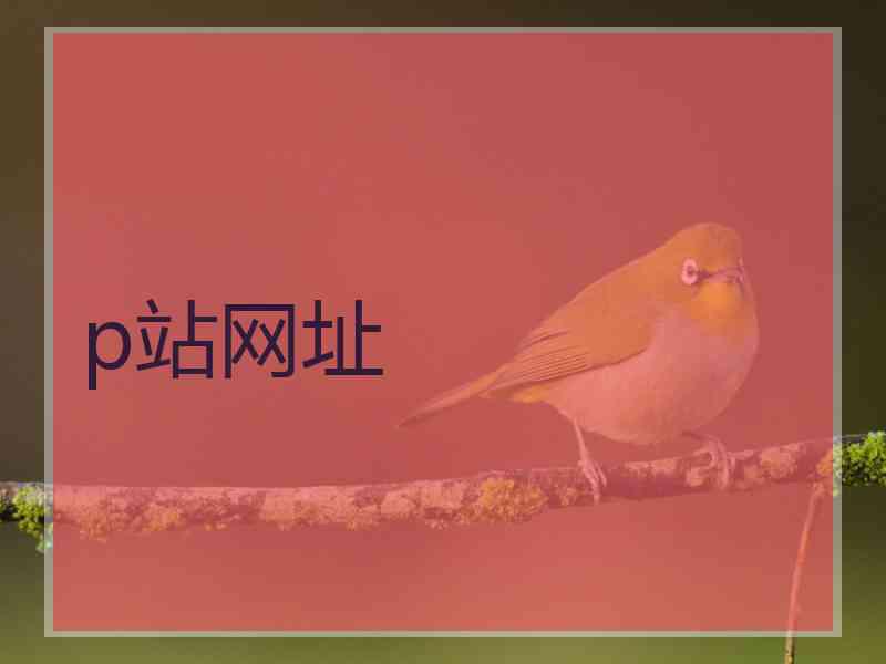 p站网址