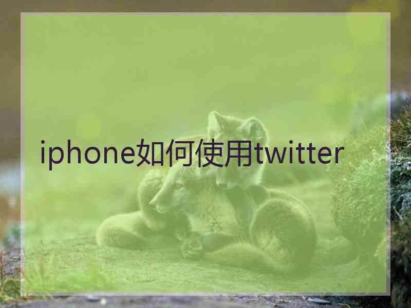 iphone如何使用twitter