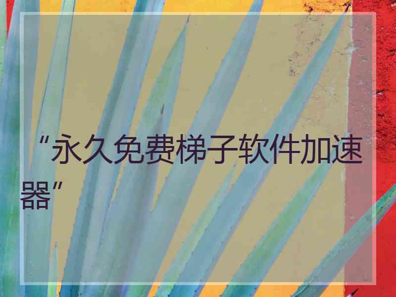 “永久免费梯子软件加速器”