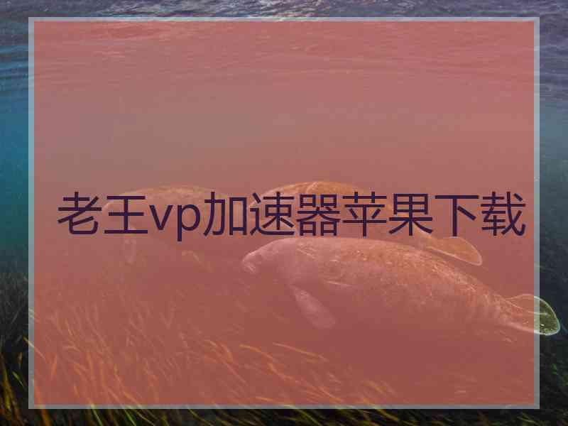 老王vp加速器苹果下载