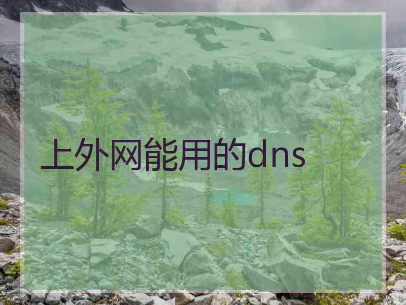 上外网能用的dns