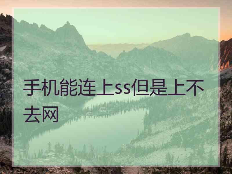 手机能连上ss但是上不去网