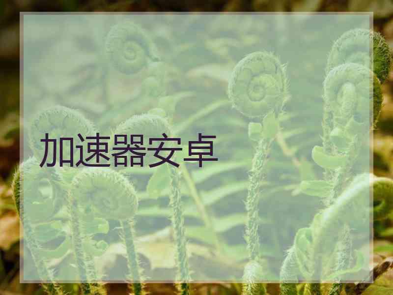加速器安卓