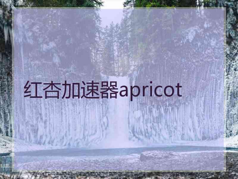 红杏加速器apricot