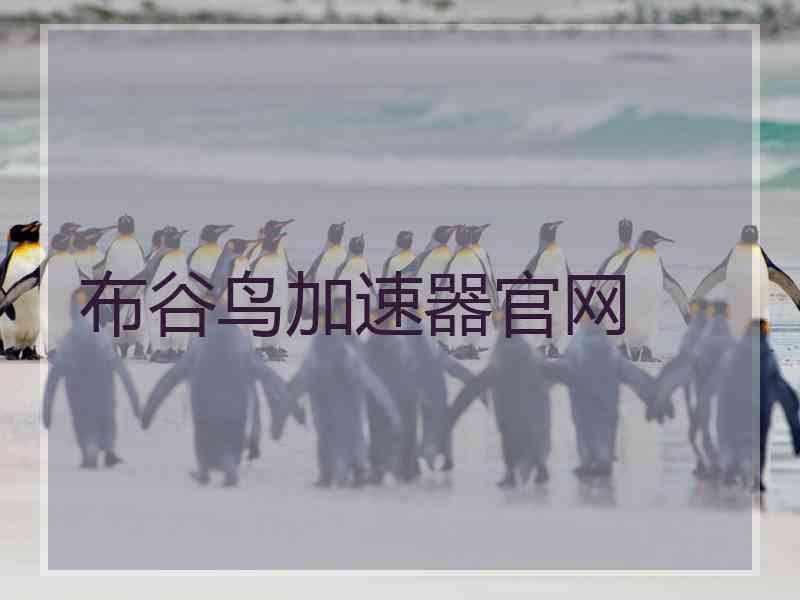 布谷鸟加速器官网