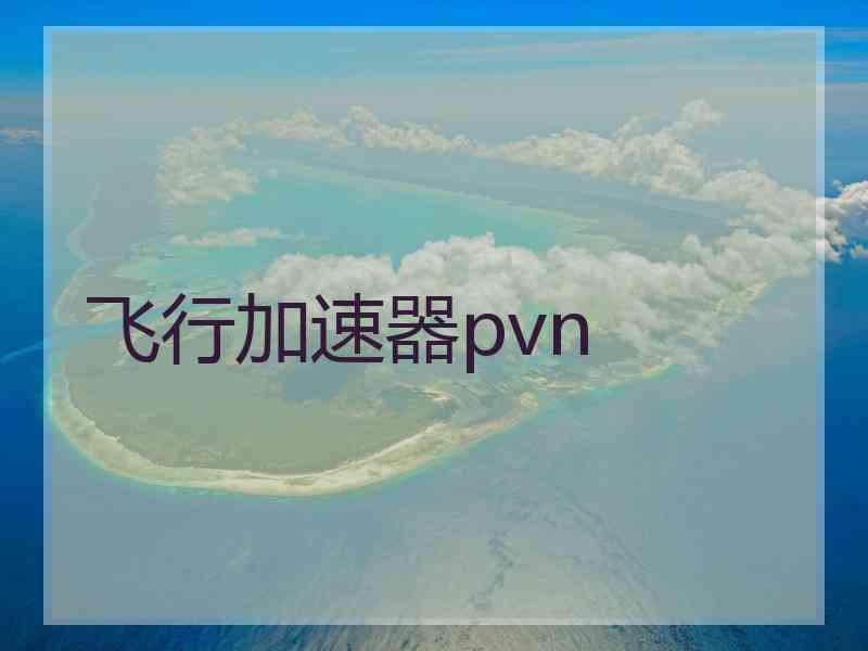 飞行加速器pvn
