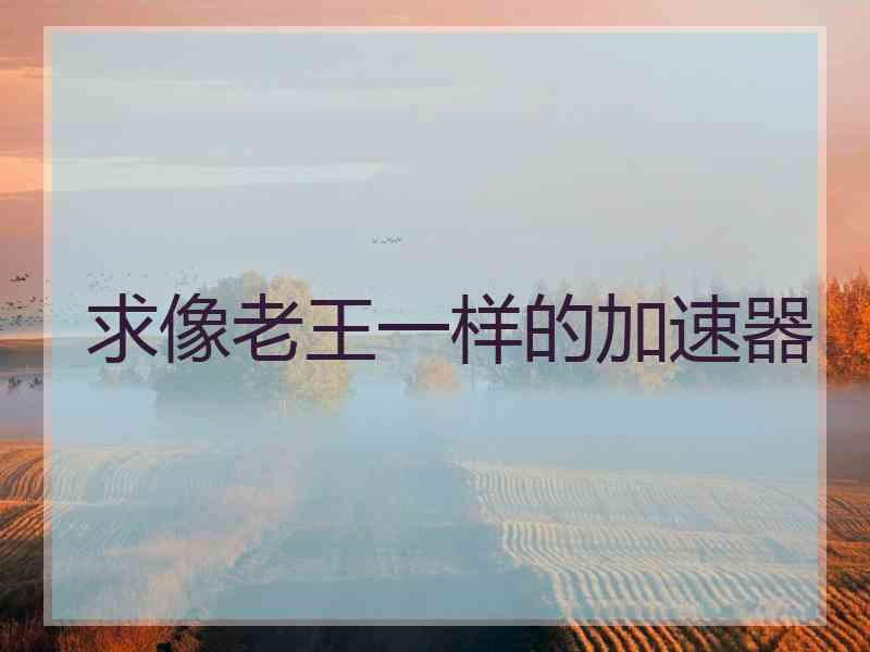 求像老王一样的加速器