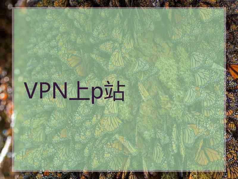 VPN上p站