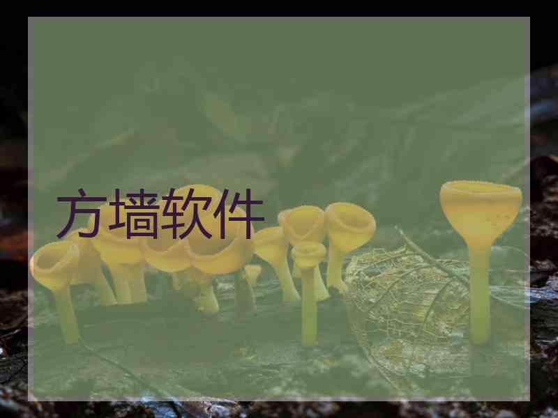 方墙软件