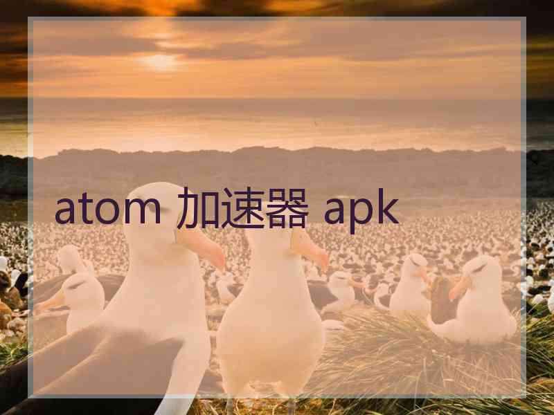 atom 加速器 apk