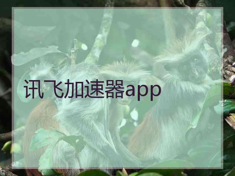 讯飞加速器app