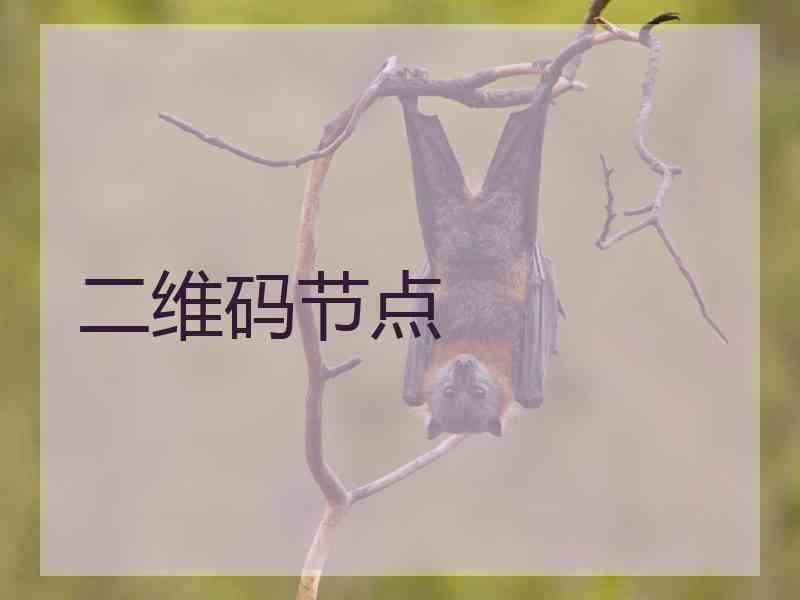 二维码节点