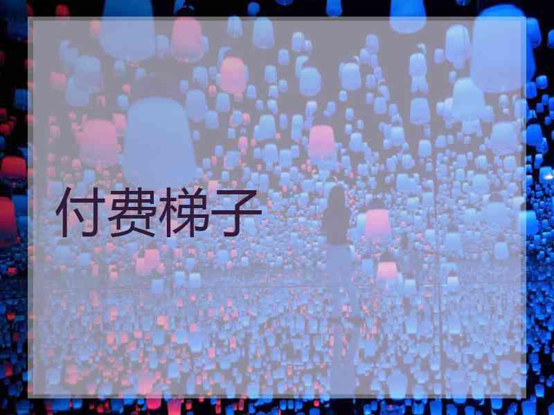 付费梯子