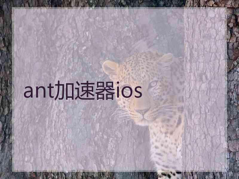 ant加速器ios