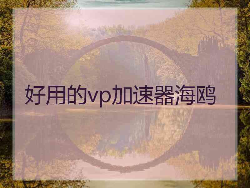 好用的vp加速器海鸥