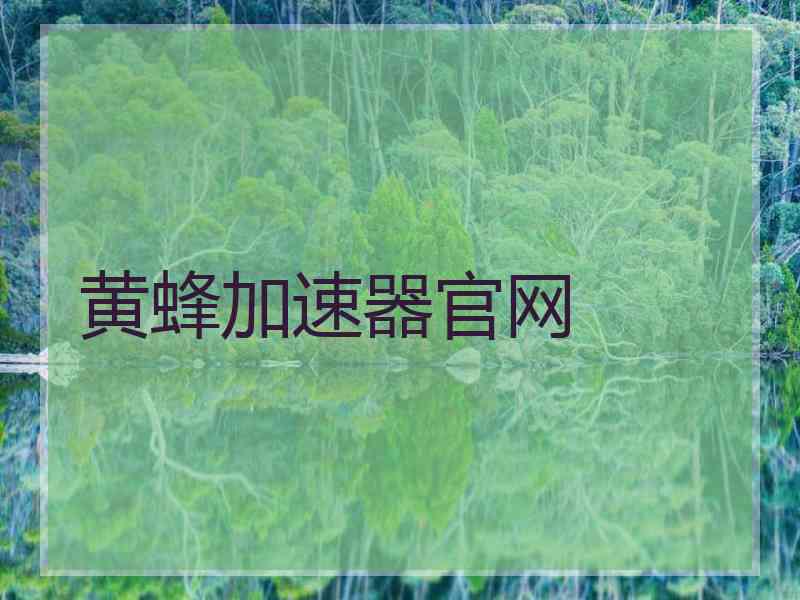 黄蜂加速器官网