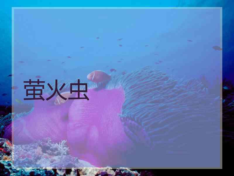 萤火虫