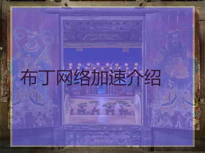 布丁网络加速介绍