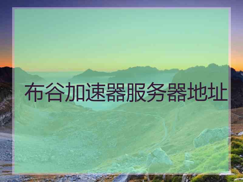 布谷加速器服务器地址