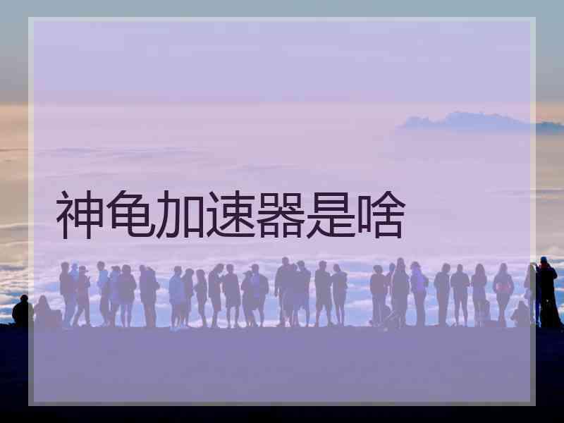 神龟加速器是啥