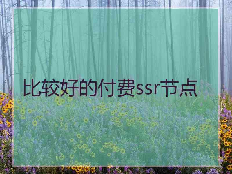 比较好的付费ssr节点