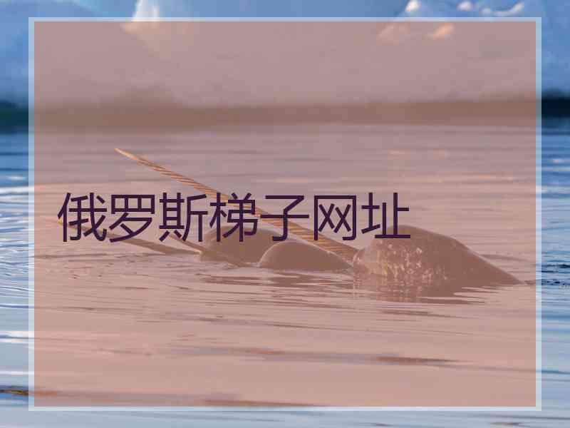 俄罗斯梯子网址