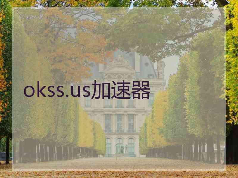 okss.us加速器