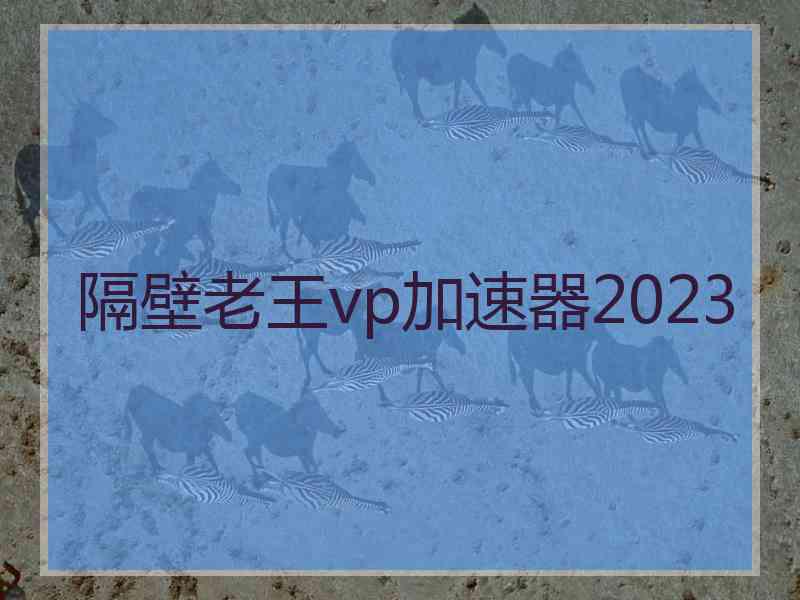 隔壁老王vp加速器2023