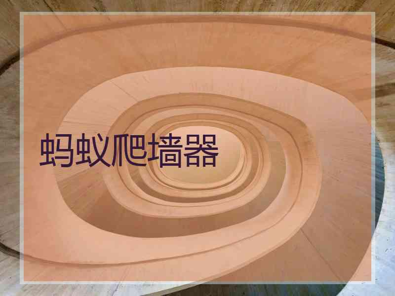 蚂蚁爬墙器