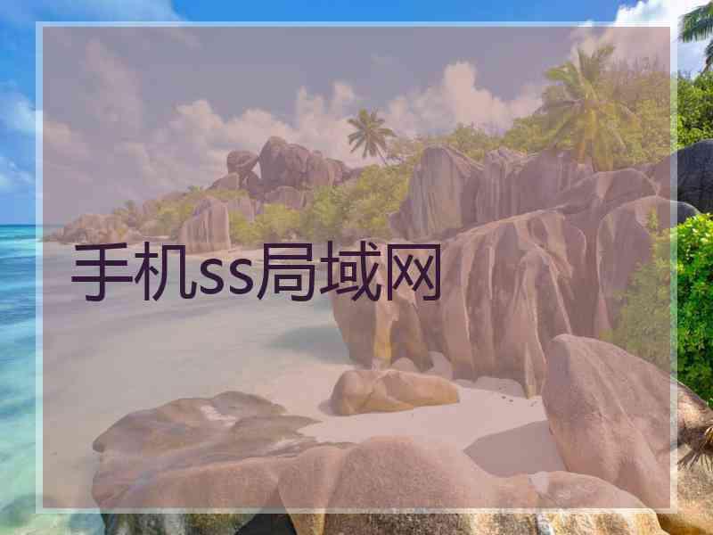 手机ss局域网