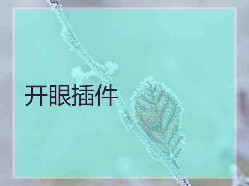 开眼插件