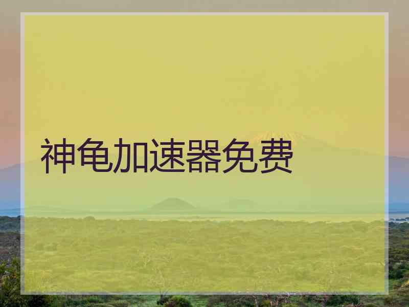 神龟加速器免费