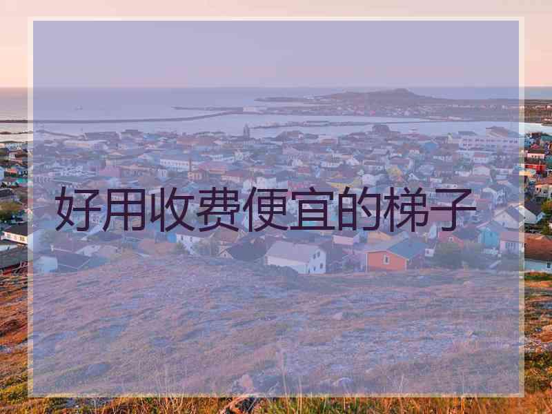 好用收费便宜的梯子