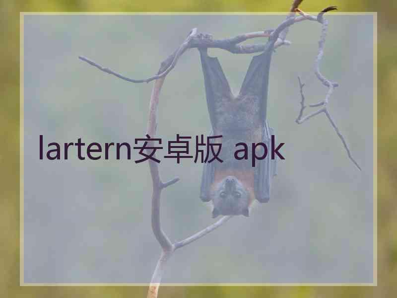 lartern安卓版 apk