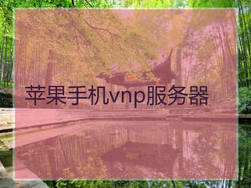 苹果手机vnp服务器