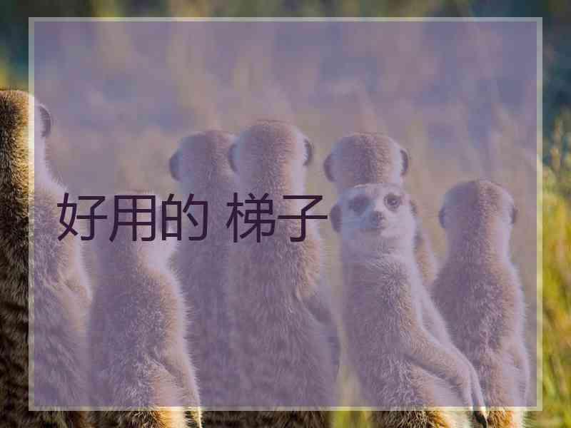 好用的 梯子