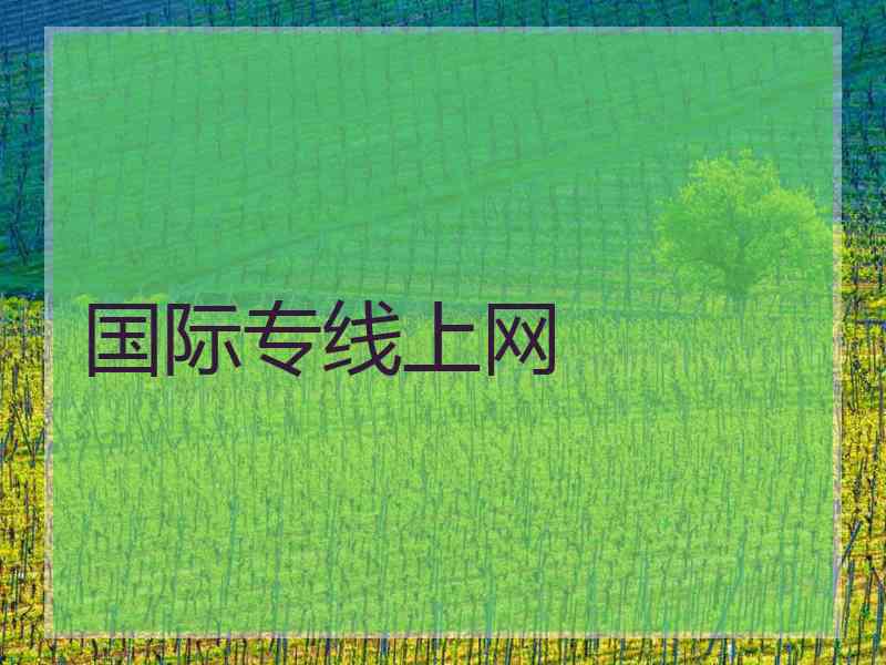 国际专线上网