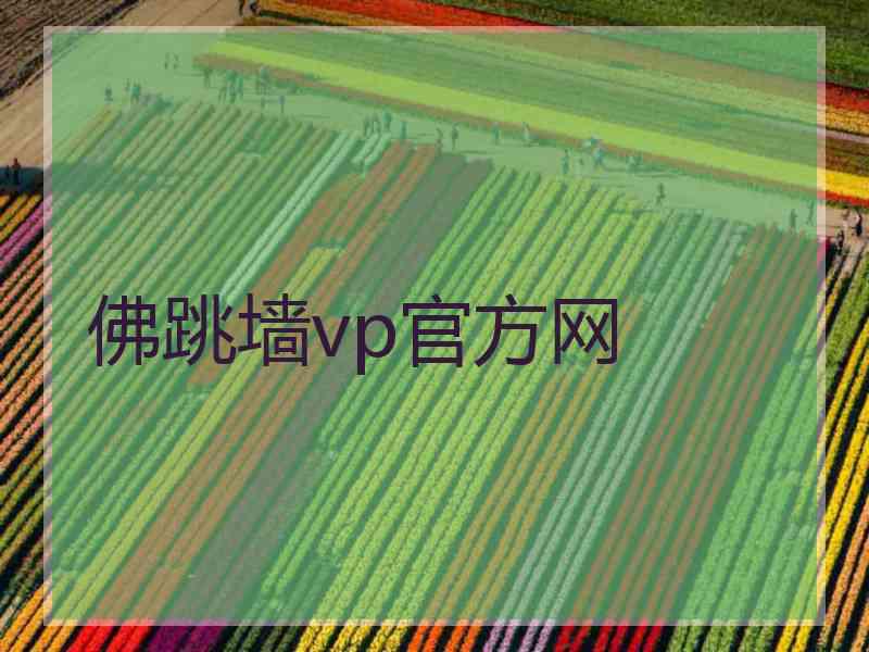 佛跳墙vp官方网