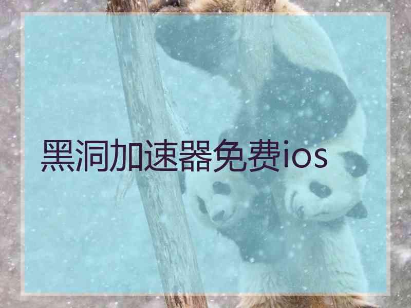黑洞加速器免费ios