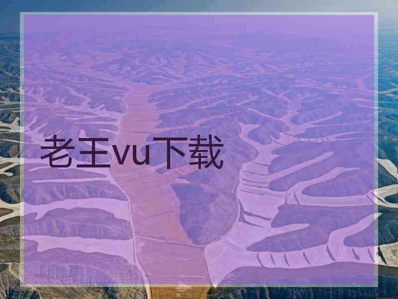 老王vu下载