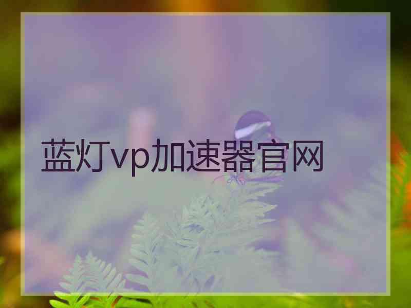 蓝灯vp加速器官网