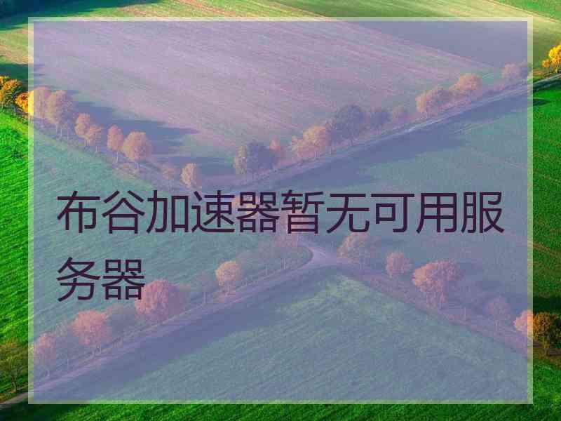 布谷加速器暂无可用服务器